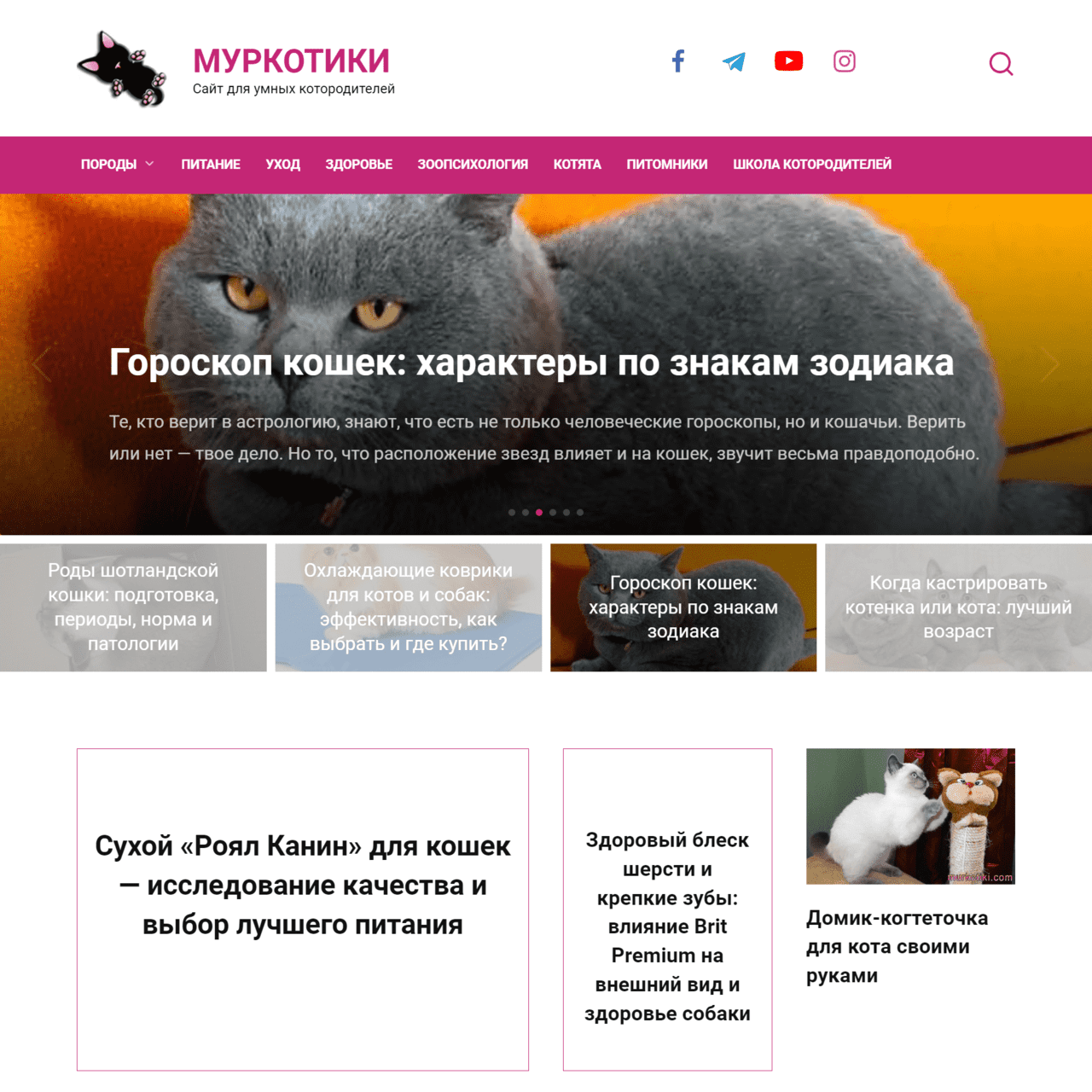 murkotiki.com